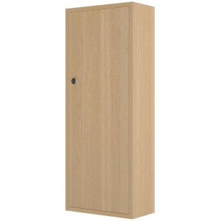 Large Lockable Cabinet With 2 Shelves