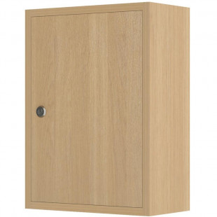 Small Lockable Cabinet With Shelf