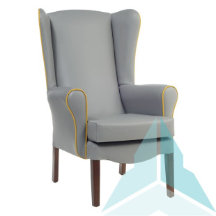 Ashford Armchair in Zest Ash and Zest Mustard