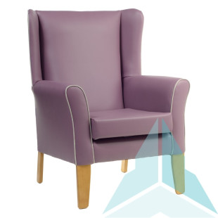 Wynslow Armchair in Zest Grape and Linetta Silver