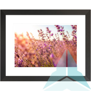 Lavender Field Artwork, 50x40cm Black Frame